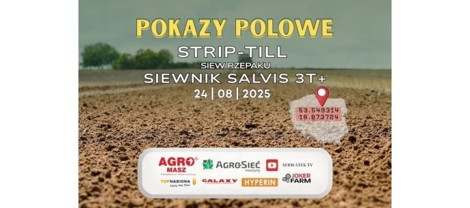 Siew rzepaku metodą strip-till SIEWNIKIEM AGRO-MASZ SALVIS 3T+